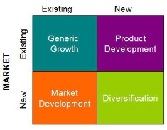 Ansoff Growth Strategy Matrix
